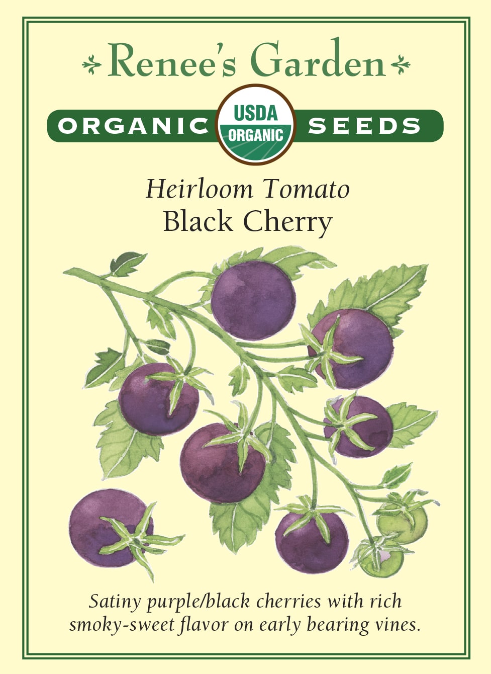 Heirloom Tomato - Black Cherry Organic