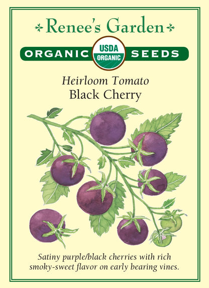 Heirloom Tomato - Black Cherry Organic