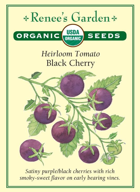 Heirloom Tomato - Black Cherry Organic
