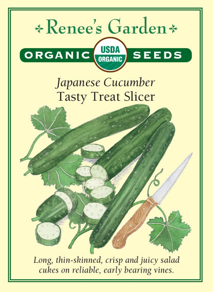 Japanese Cucumber - Tasty Treat Slicer Organic