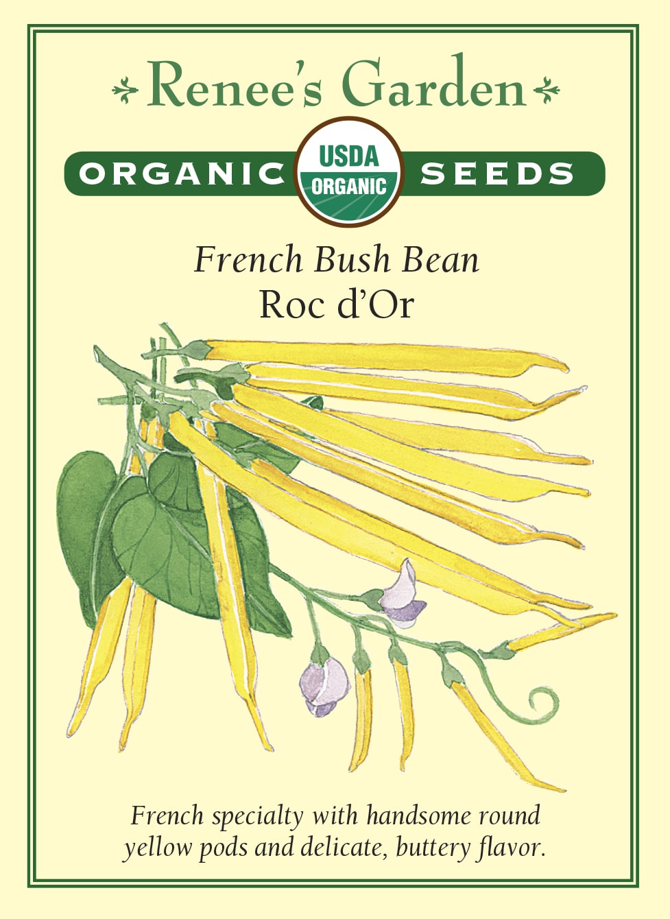 French Bush Bean - Roc d'Or Organic