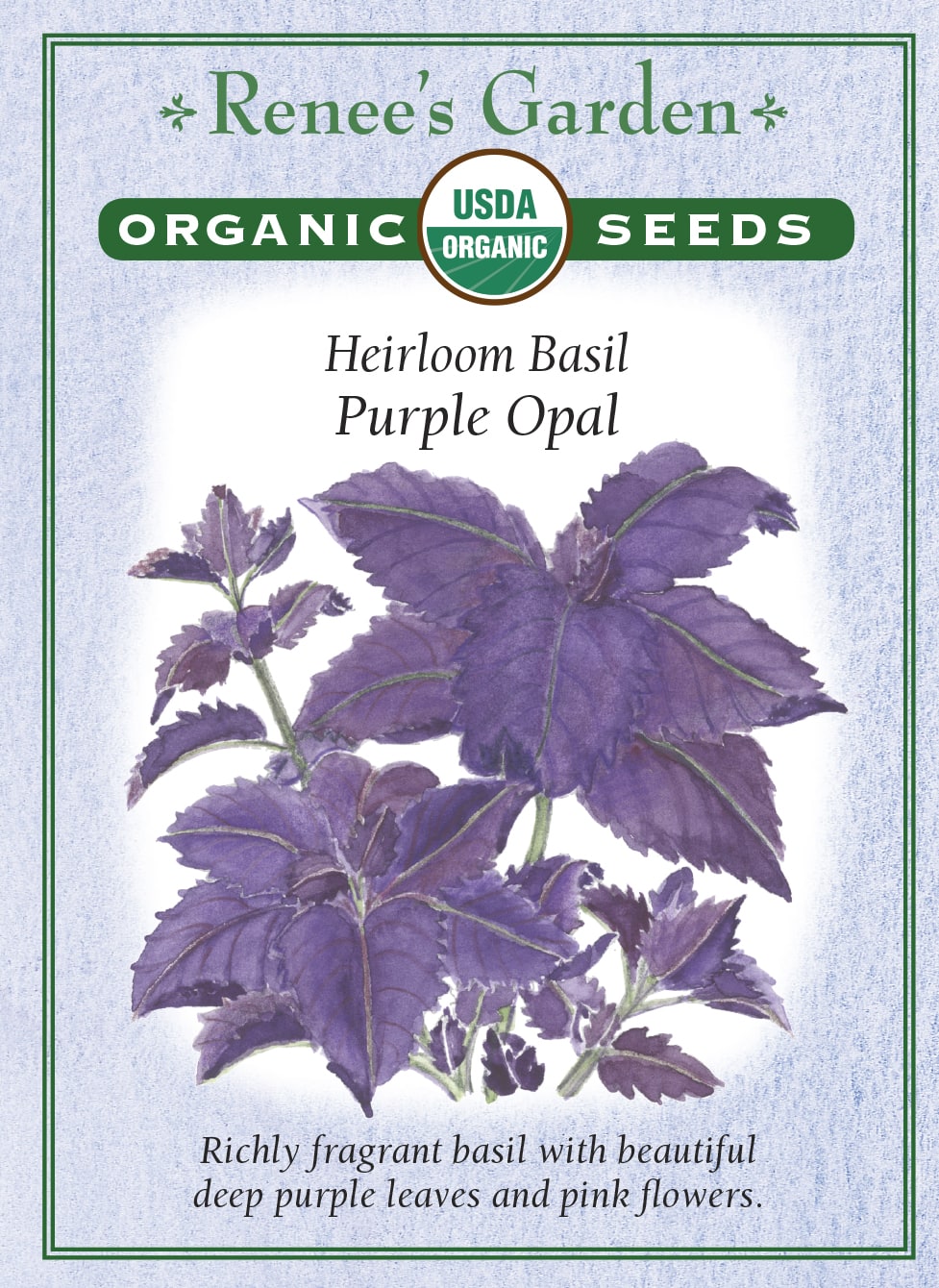 Heirloom Basil - Purple Opal Organic