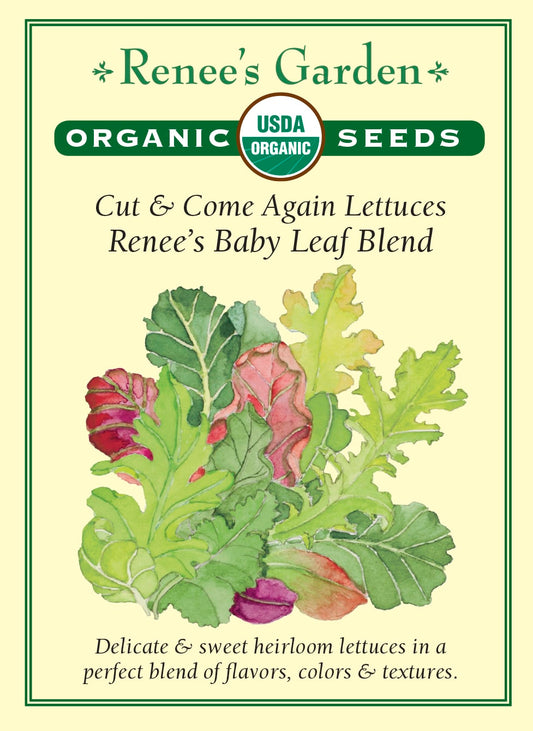 Cut & Come Again Lettuces - Renee's Baby Leaf Blend Organic