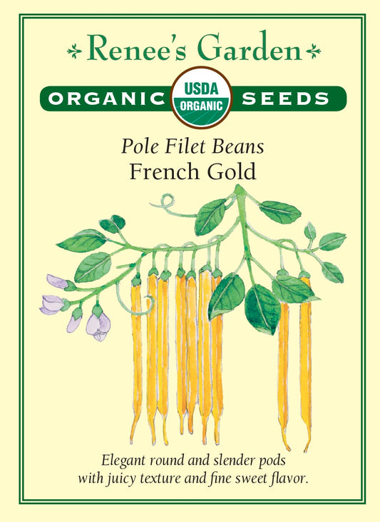 Pole Filet Beans - French Gold Organic