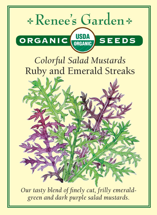 Colorful Salad Mustards - Ruby & Emerald Streaks Organic