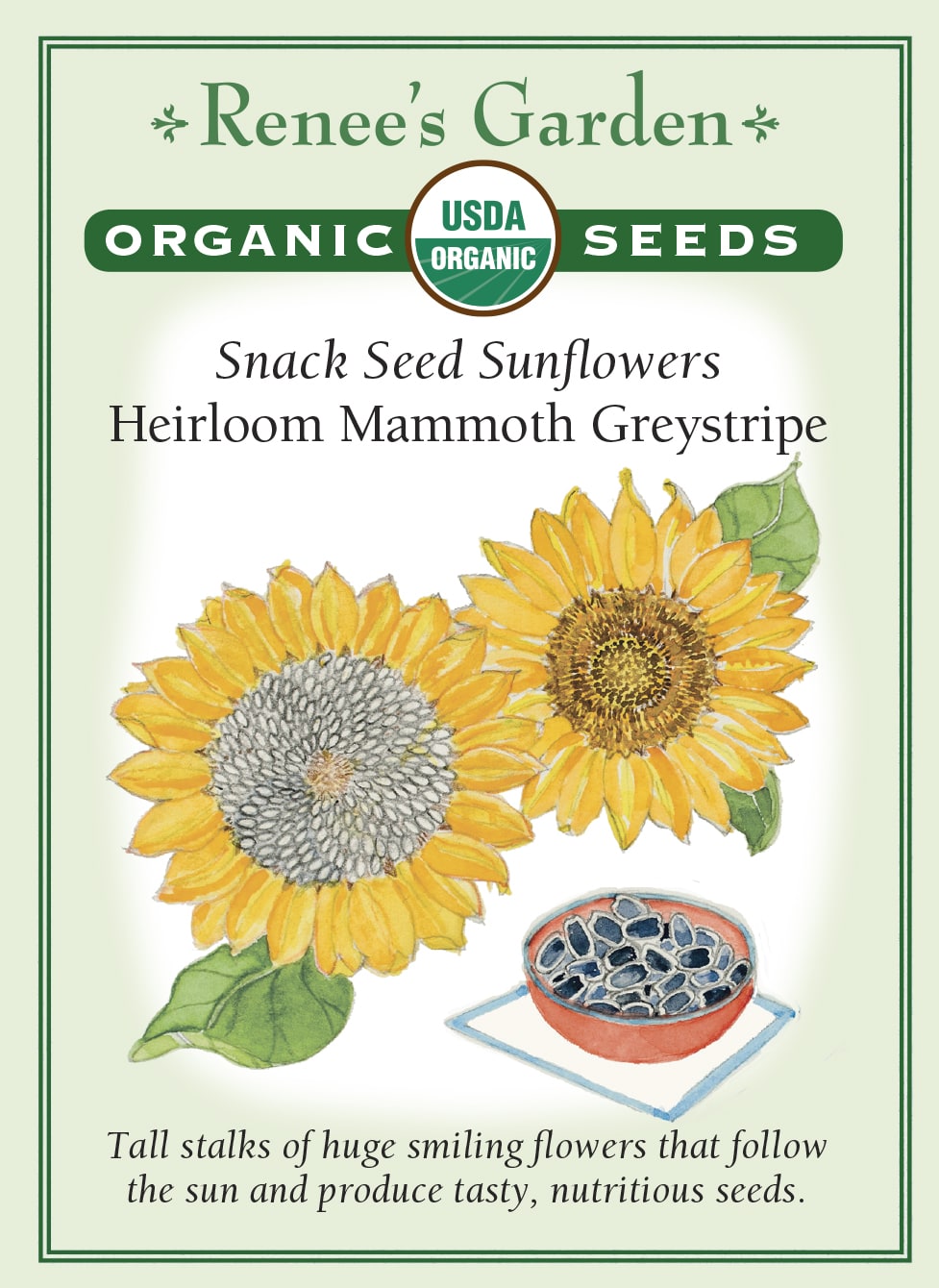 Snack Seed Sunflowers - Heirloom Mammoth Greystripe Organic