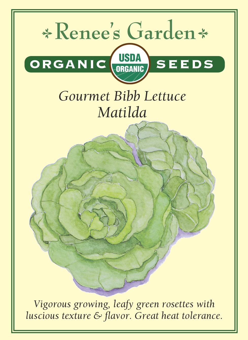 Gourmet Bibb Lettuce - Matilda Organic