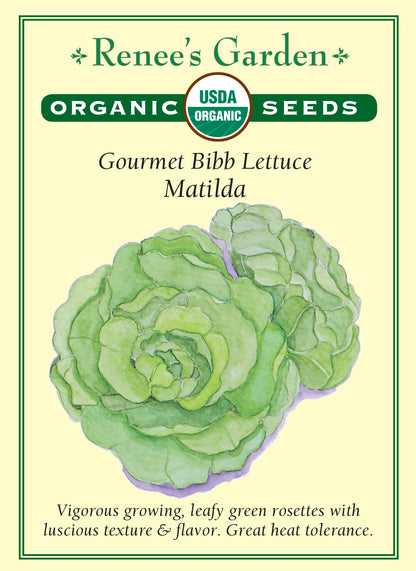 Gourmet Bibb Lettuce - Matilda Organic