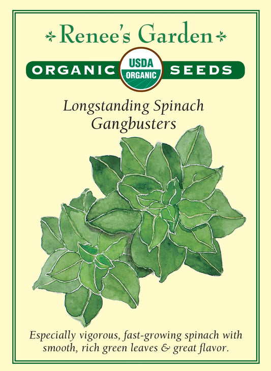 Longstanding Spinach - Gangbusters Organic