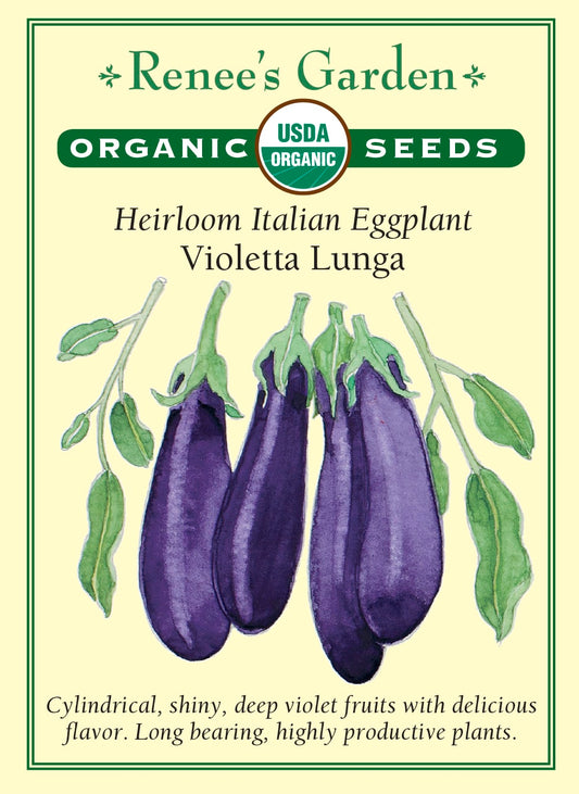 Heirloom Italian Eggplant - Violetta Lunga Organic