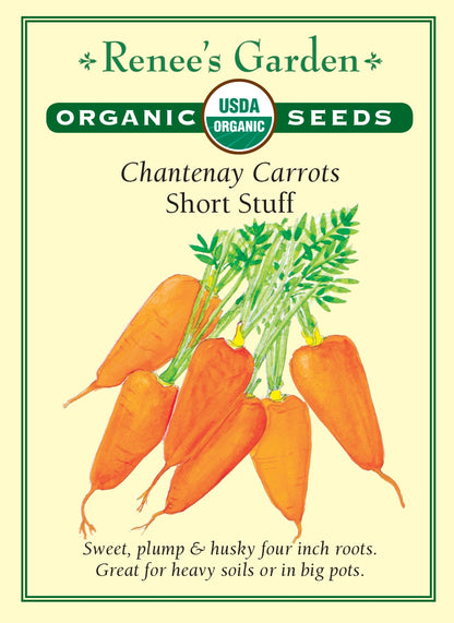 Chantenay Carrots - Short Stuff Organic