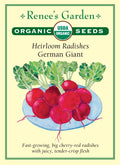 Heirloom Radishes - German Giant Organic