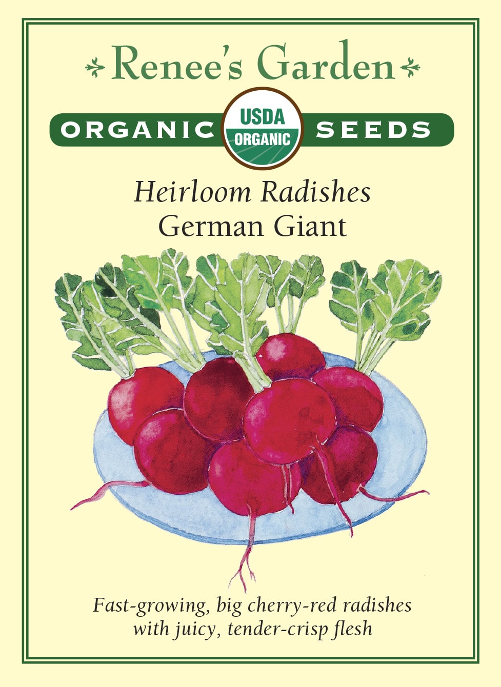 Heirloom Radishes - German Giant Organic