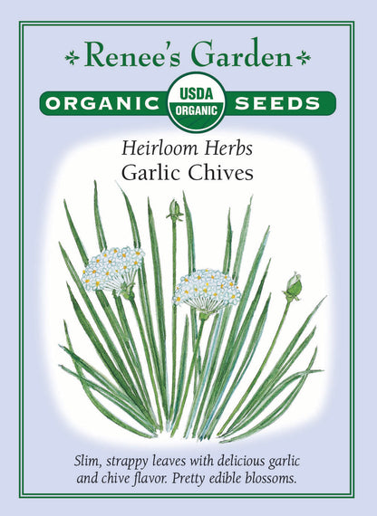 Heirloom Herbs - Garlic Chives Organic