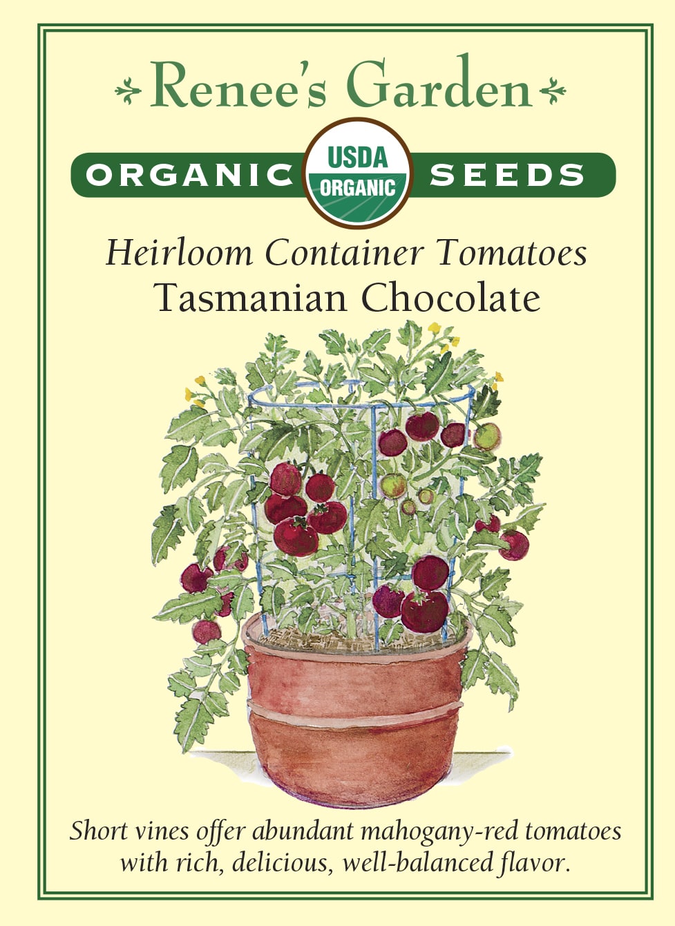 Heirloom Container Tomatoes - Tasmanian Chocolate Organic