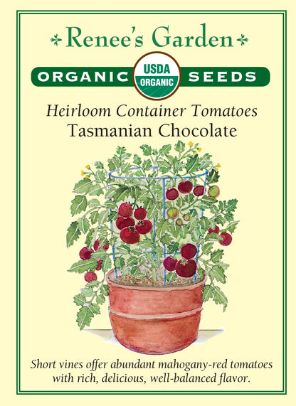 Heirloom Container Tomatoes - Tasmanian Chocolate Organic