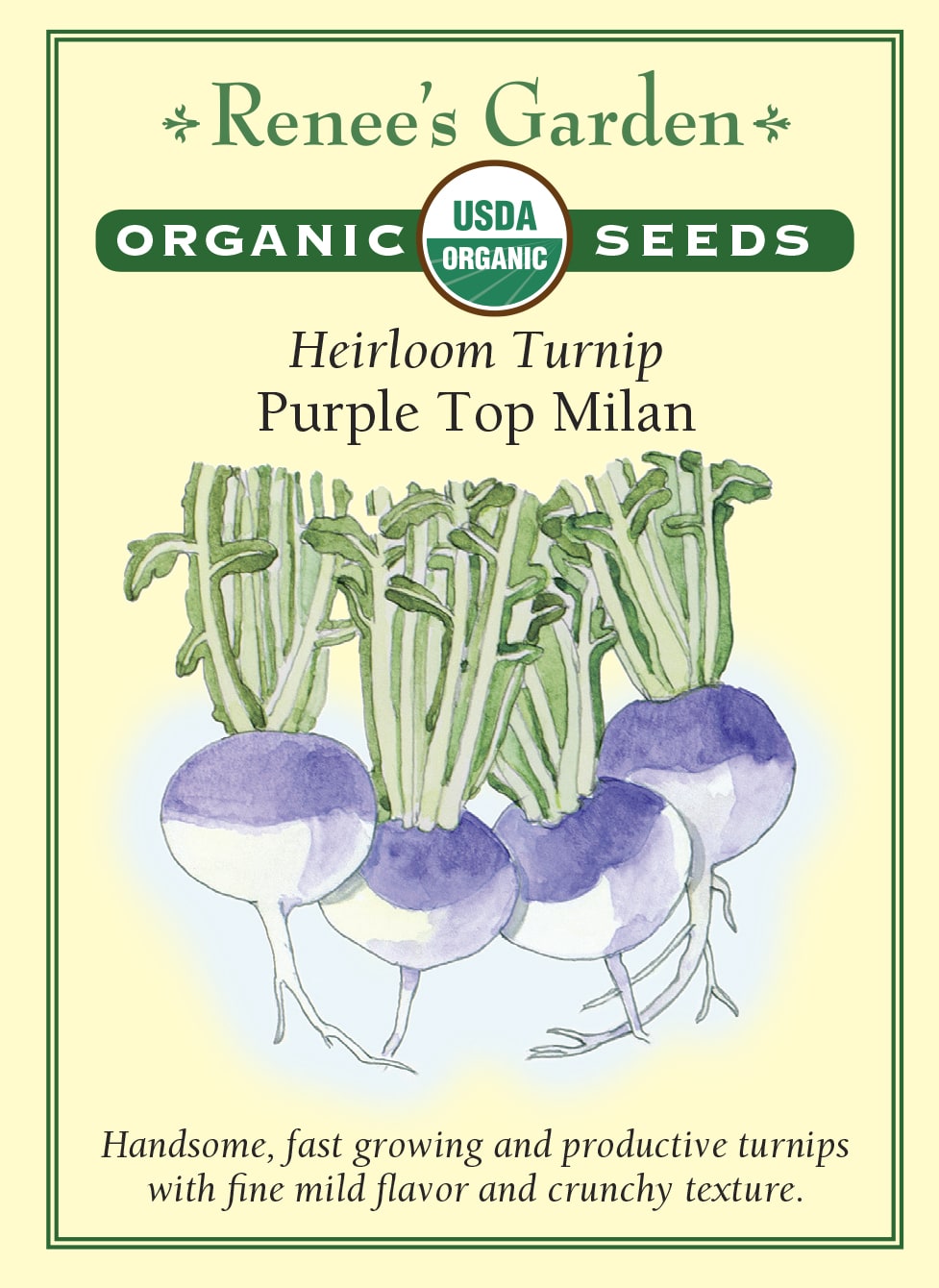 Heirloom Turnip - Purple Top Milan Organic