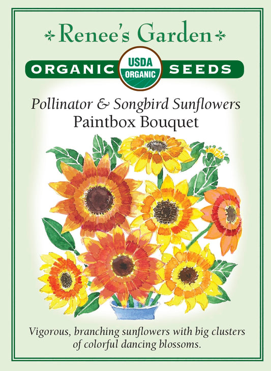 Pollinator & Songbird Sunflowers - Paintbox Bouquet Organic