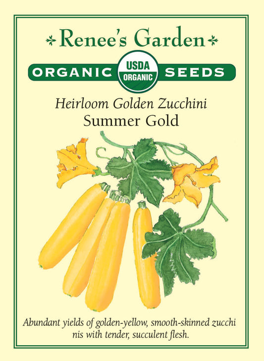 Heirloom Zucchini - Summer Gold Organic