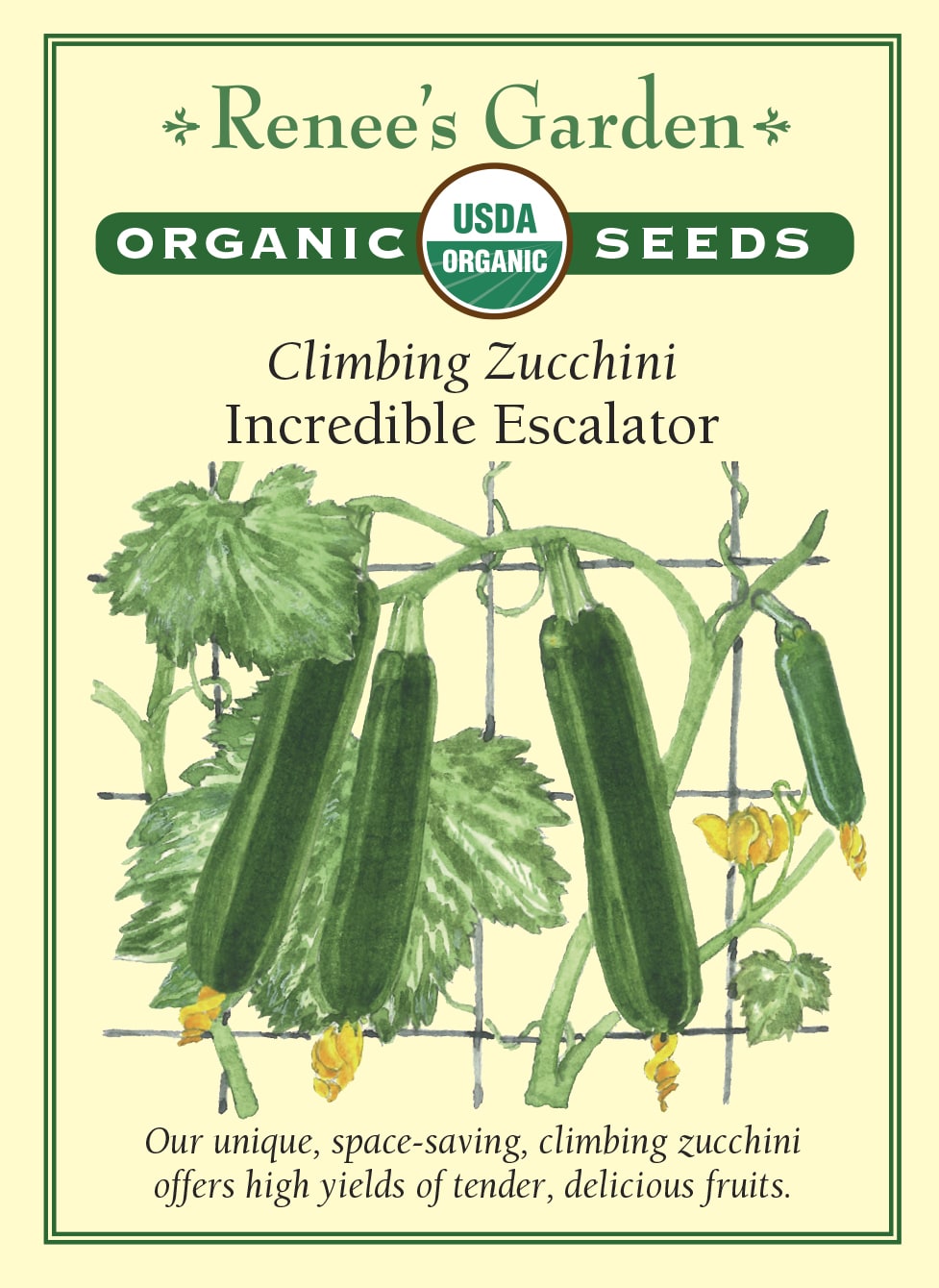 Organic Climbing Zucchini - Incredible Escalator Organic