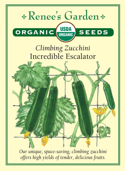 Organic Climbing Zucchini - Incredible Escalator Organic