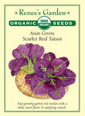 Asian Greens - Scarlet Red Tatsoi Organic