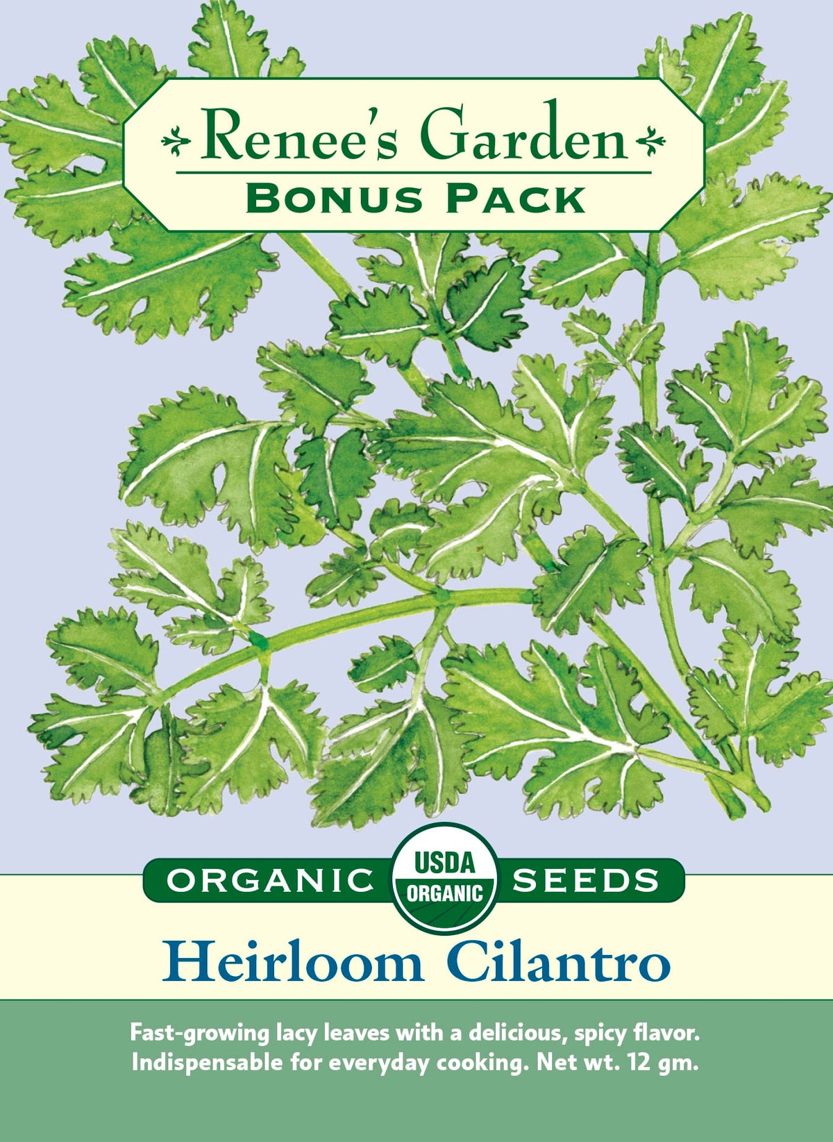 Bonus Pack - Heirloom Cilantro Organic