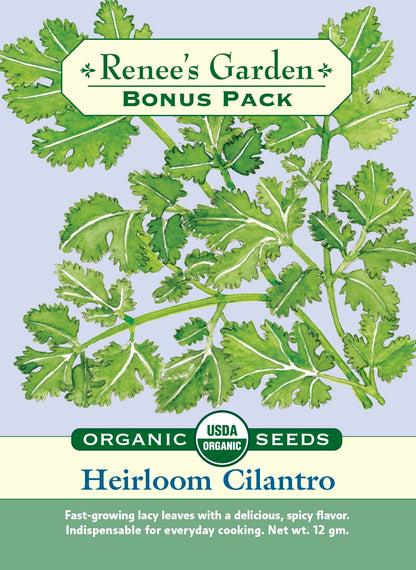 Bonus Pack - Heirloom Cilantro Organic
