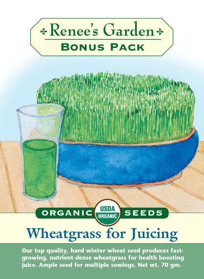 Bonus Pack - Wheatgrass For Juicing Organic