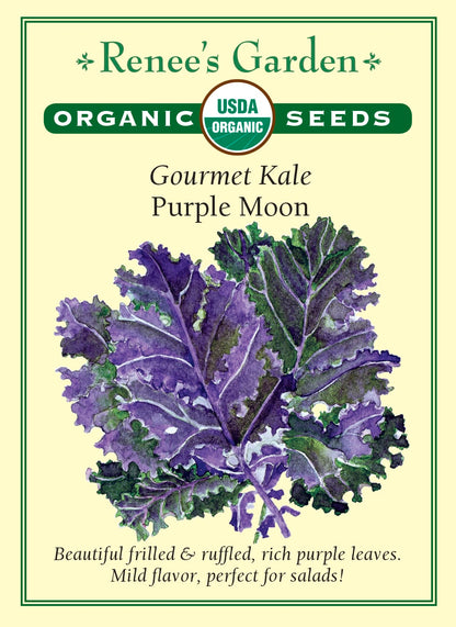 Gourmet Kale - Purple Moon Organic