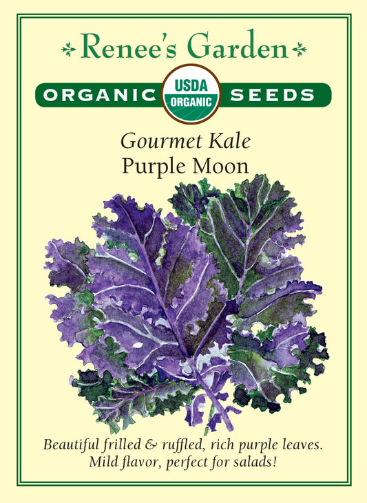Gourmet Kale - Purple Moon Organic