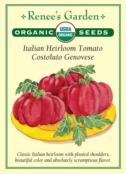 Italian Heirloom Tomato - Costoluto Genovese Organic