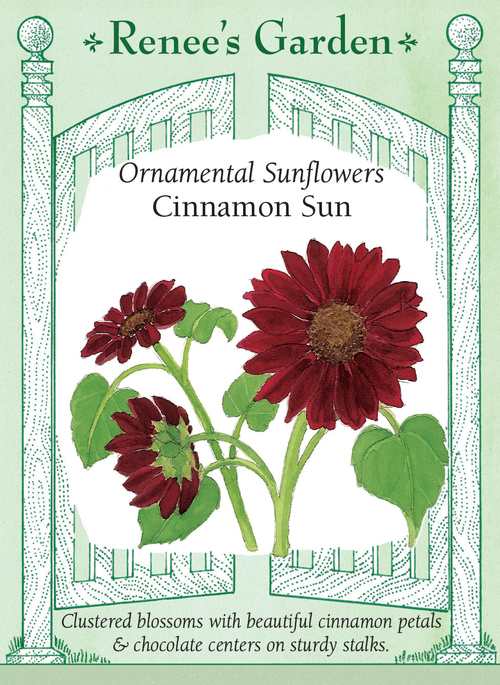 Seed packet for ornamental sunflower 'Cinnamon Sun' with decorative border and floral illustration. Clustered blossoms with beautiful cinnamon petals and chocolate centers on sturdy stalks.