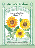 Kneehigh Sunflowers - Music Box