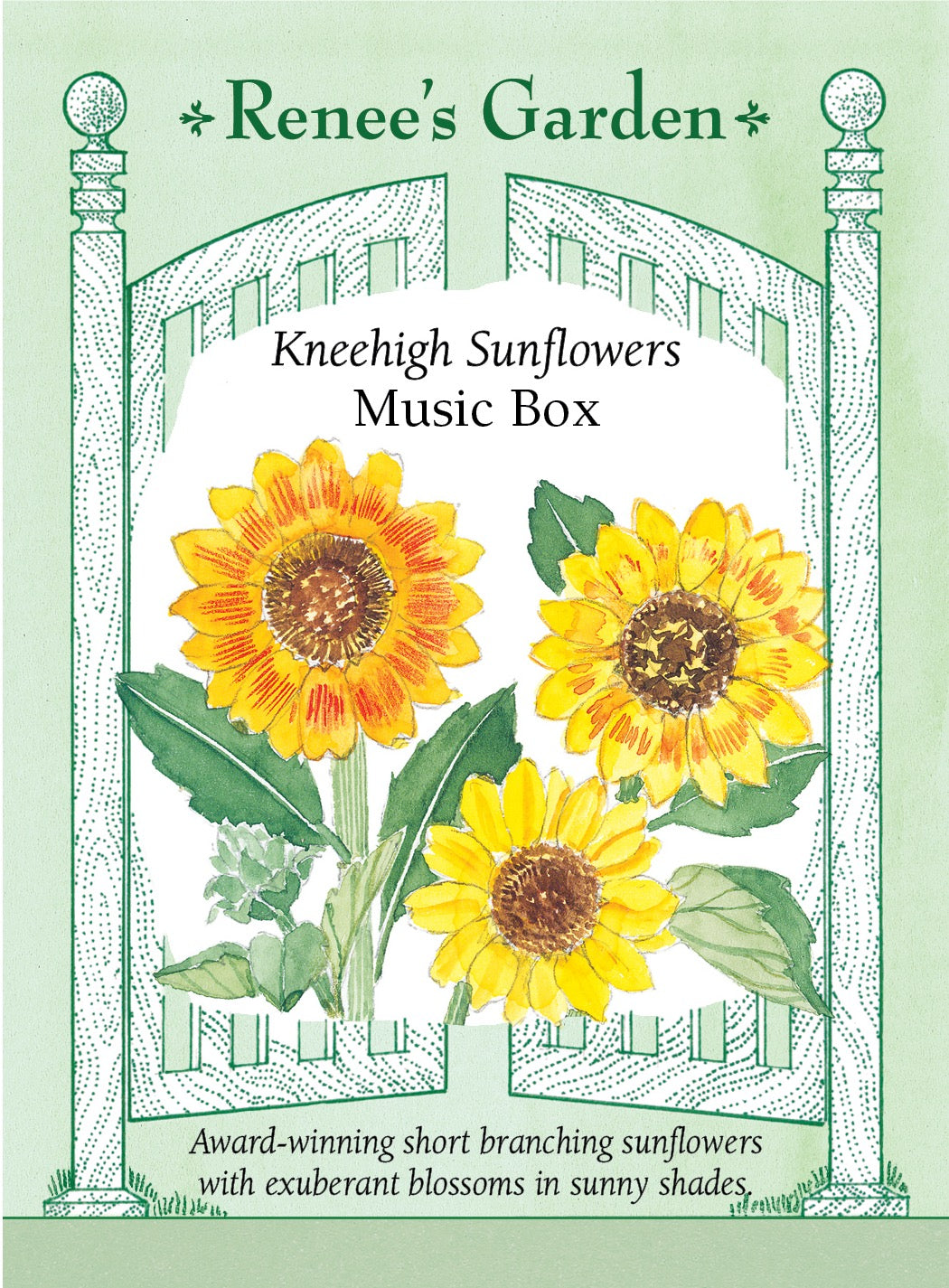 Kneehigh Sunflowers - Music Box