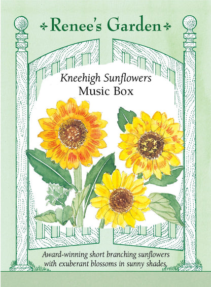 Kneehigh Sunflowers - Music Box