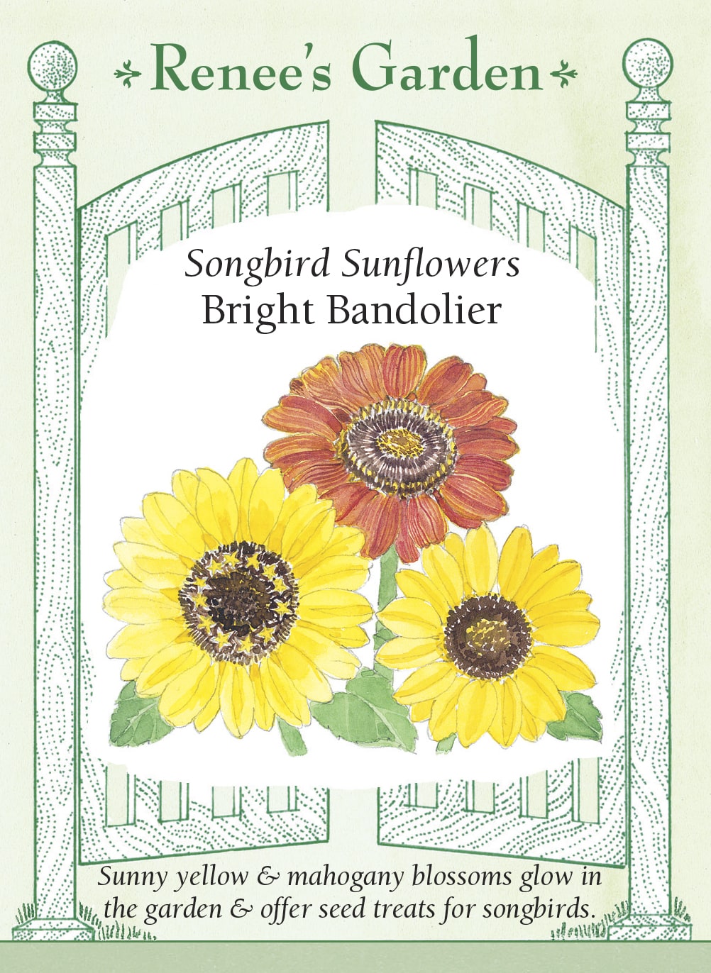 Bouquet Sunflowers - Bright Bandolier