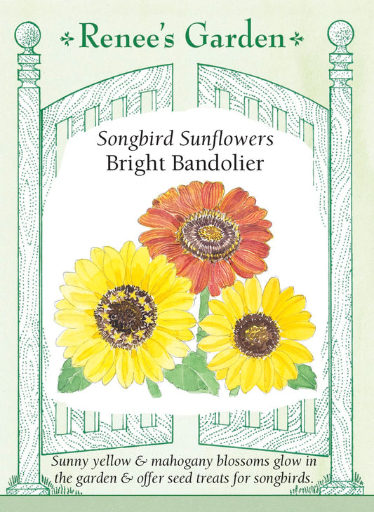Bouquet Sunflowers - Bright Bandolier