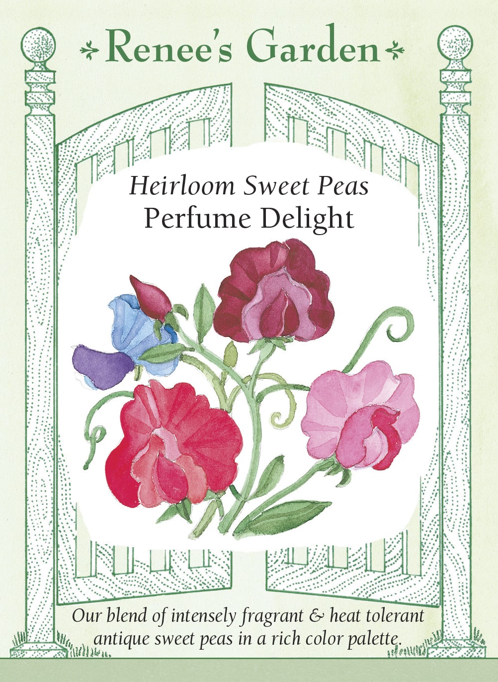 Heirloom Sweet Peas - Perfume Delight