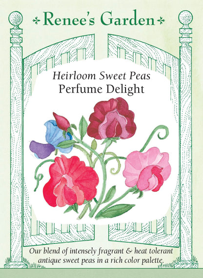 Heirloom Sweet Peas - Perfume Delight
