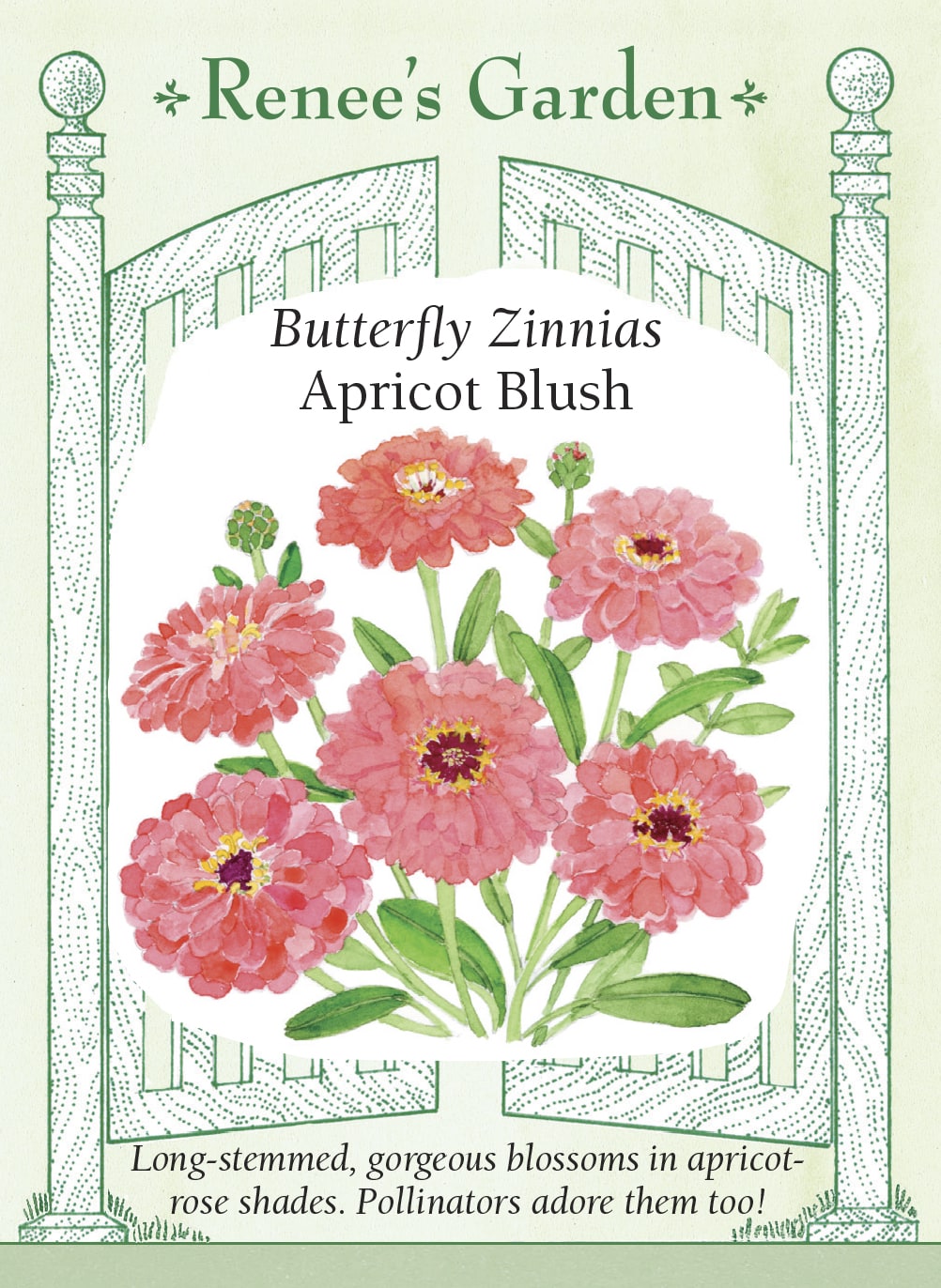 Butterfly Zinnias - Apricot Blush