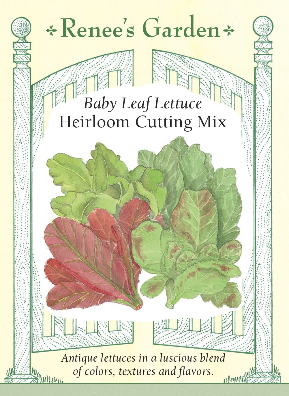 Baby Leaf Lettuce - Heirloom Cutting Mix