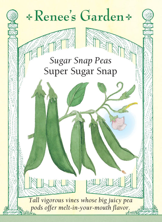 Sugar Snap Peas - Super Sugar Snap