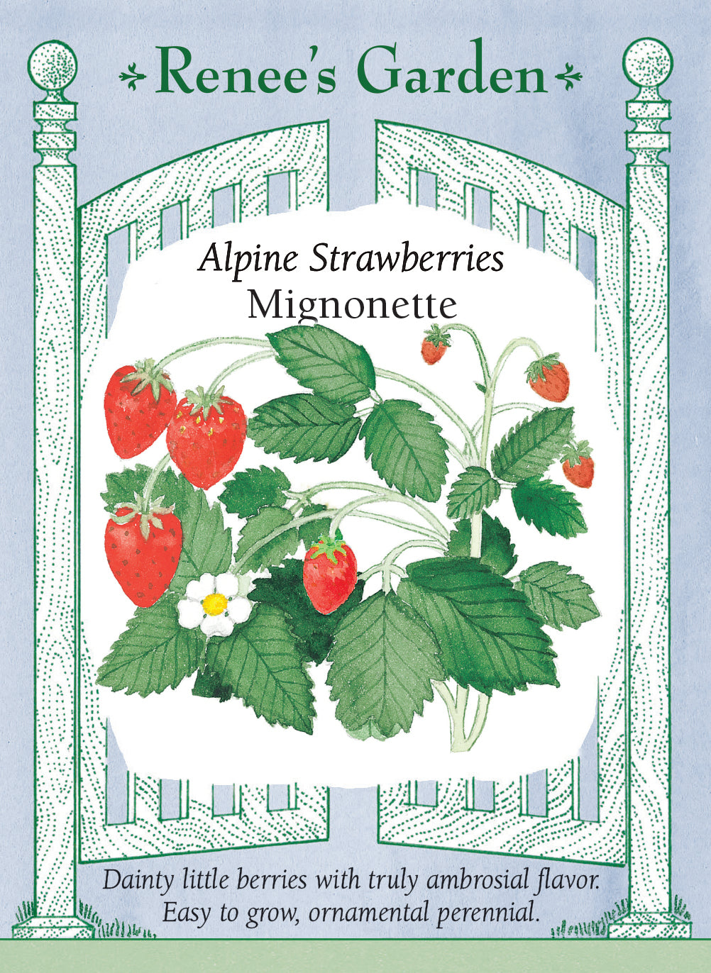 Alpine Strawberries - Mignonette