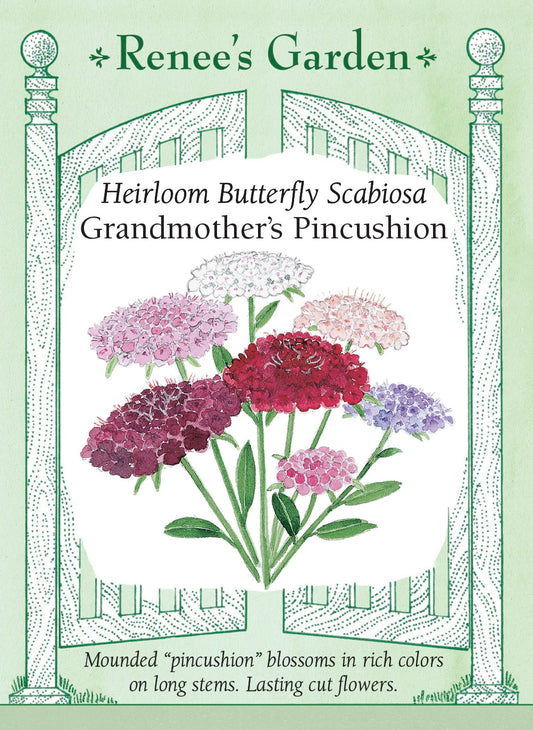 Heirloom Butterfly Scabiosa - Grandmother's Pincushion