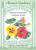 Climbing Nasturtiums - Amazon Jewel
