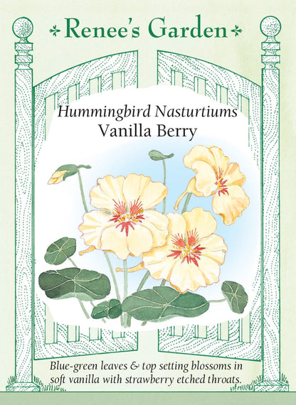 Hummingbird Nasturtiums - Vanilla Berry