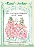 Heirloom Apricot Foxglove - Faerie Queen