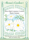 Knee-High White Cosmos - Snow Sonata