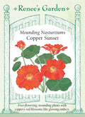 Mounding Nasturtiums - Copper Sunset
